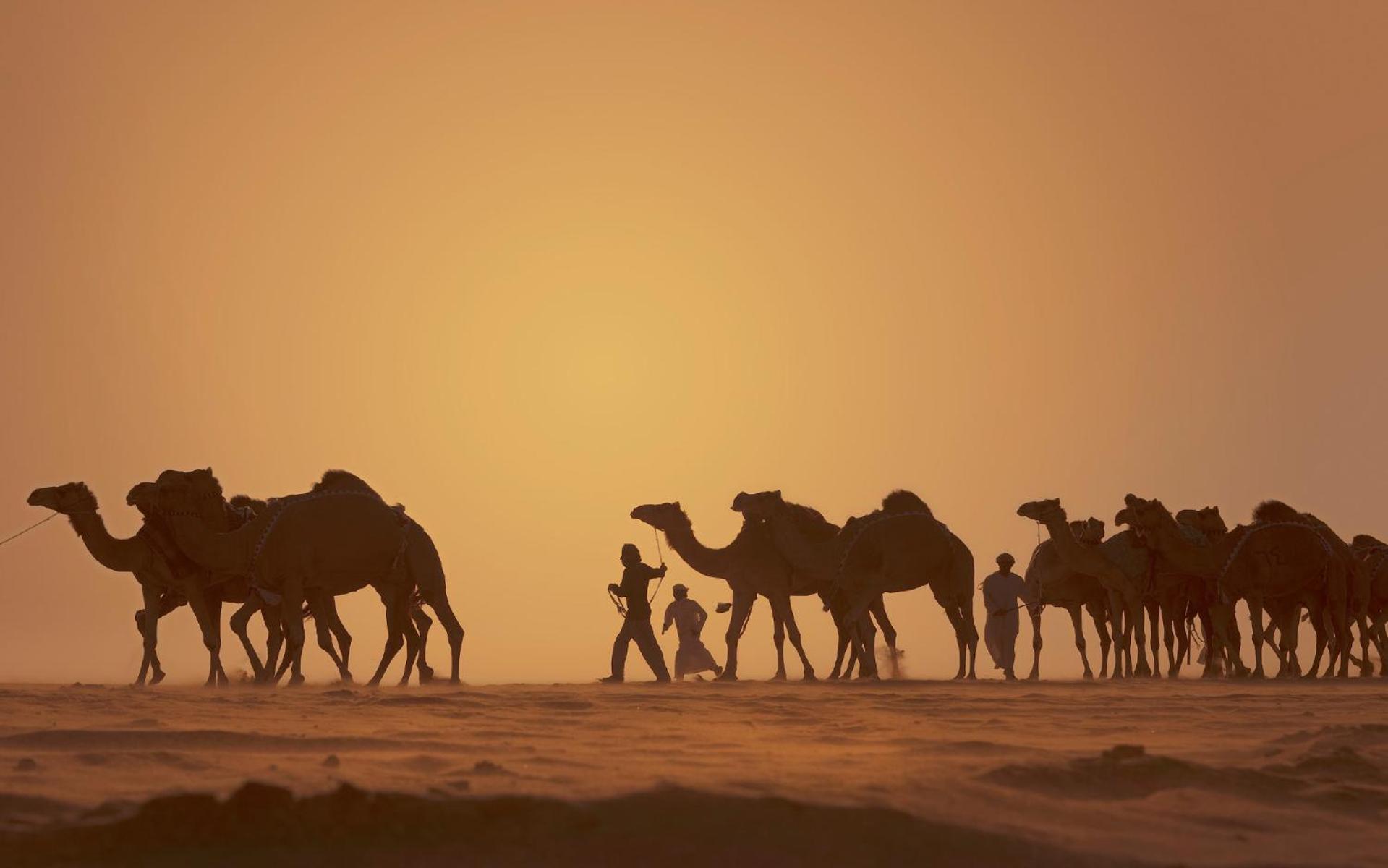 Anantara Qasr Al Sarab Desert Resort Jereirah Esterno foto